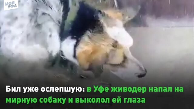 HD порно 137023