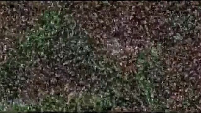 HD порно 236499