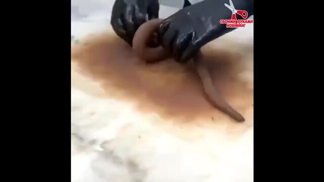 HD порно 153901