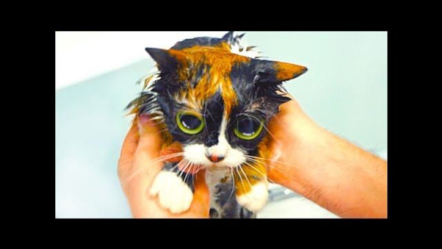 HD порно 121498