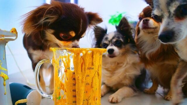 HD порно 162915