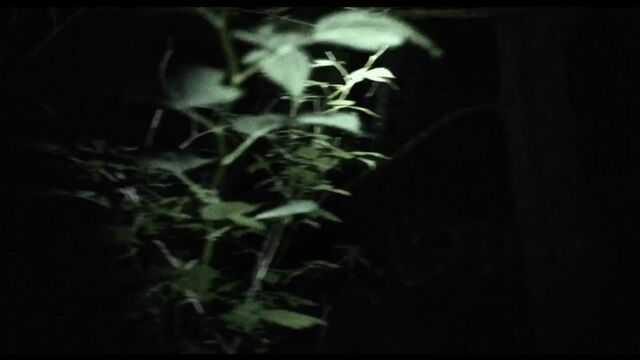 HD порно 166378