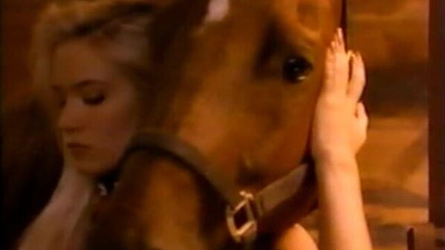 HD порно 245772