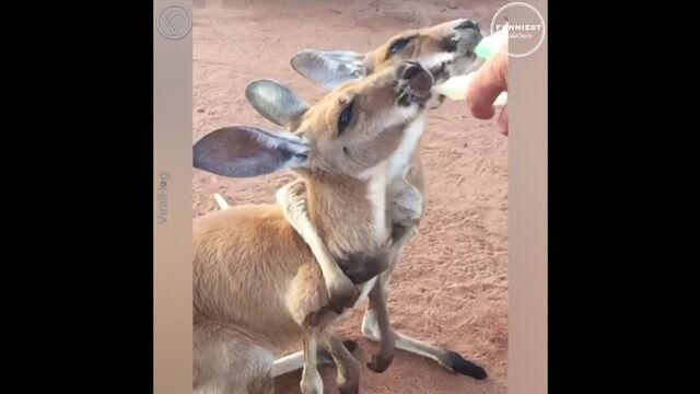 HD порно 125577