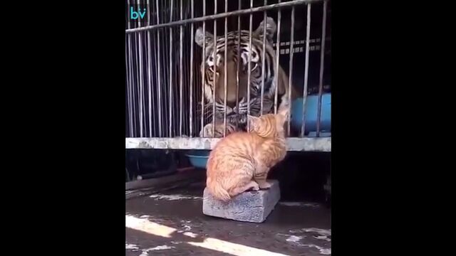 HD порно 174310