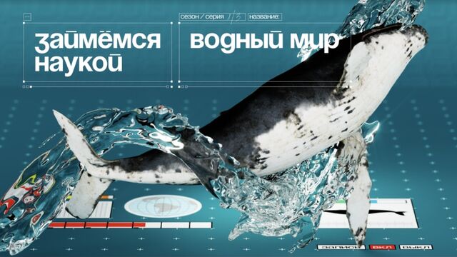 HD порно 173388