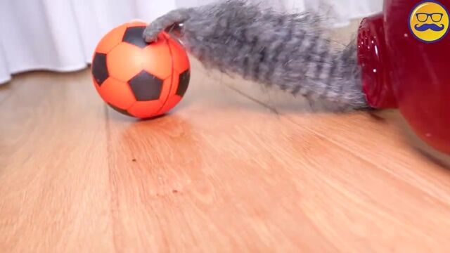 HD порно 168802