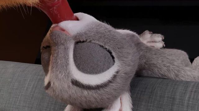 HD порно 235758