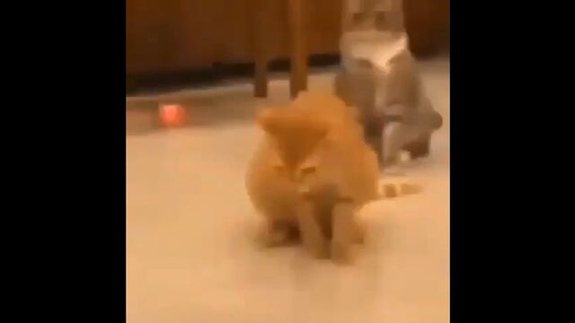 HD порно 121363