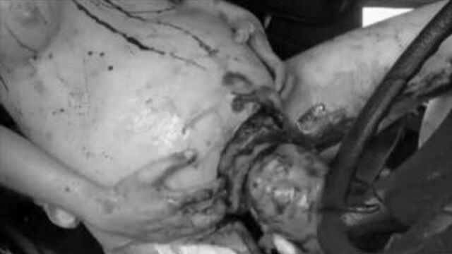 HD порно 246630