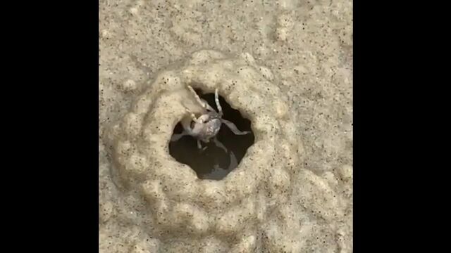 HD порно 182442