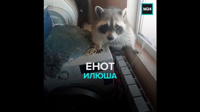 HD порно 144552