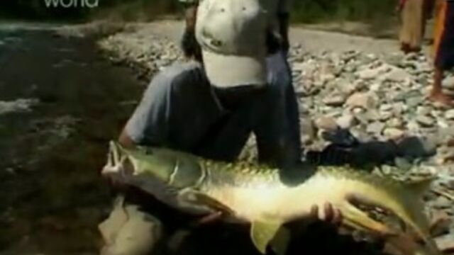 HD порно 110368