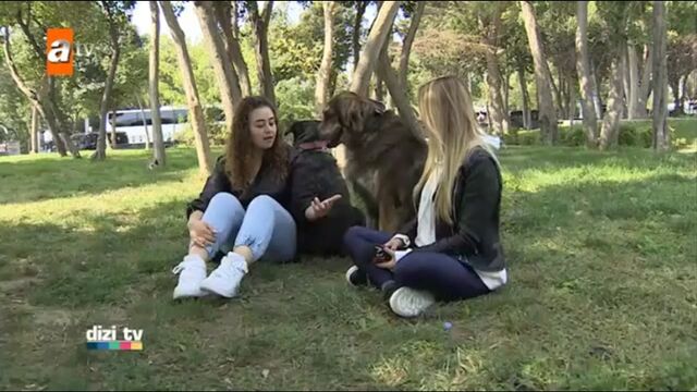 HD порно 156034