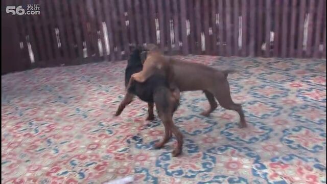 HD порно 167898