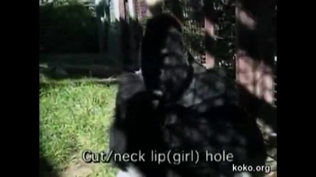 HD порно 168329