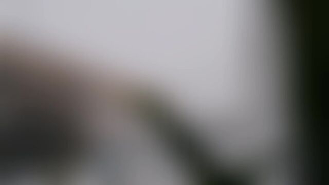 HD порно 136688