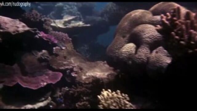 HD порно 159317