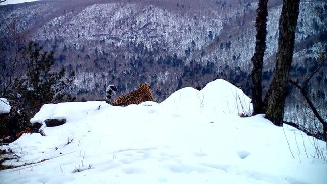 HD порно 118527