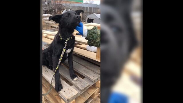 HD порно 124842