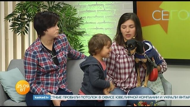 HD порно 174021