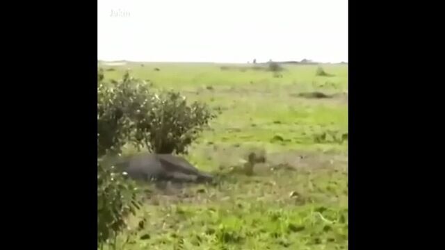 HD порно 129382