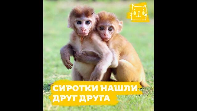 HD порно 188213