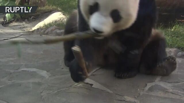 HD порно 134750