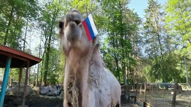 HD порно 139220