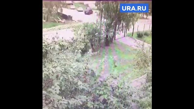 HD порно 165819