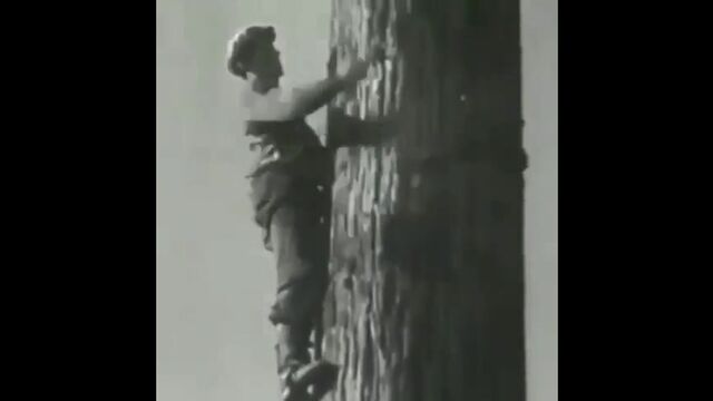 HD порно 125654