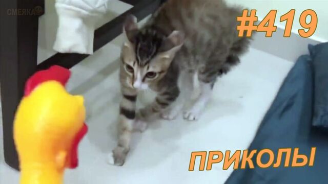 HD порно 172804