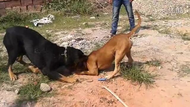 HD порно 162797