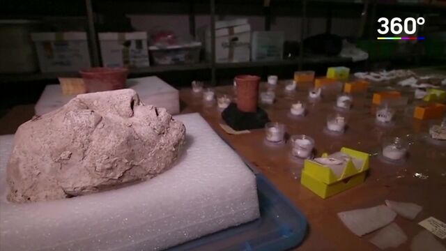 HD порно 170891