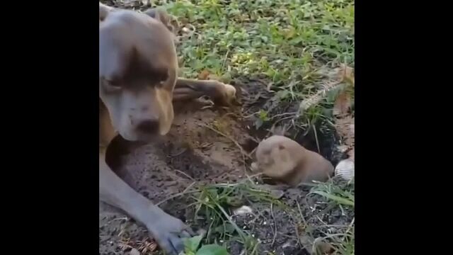 HD порно 144231