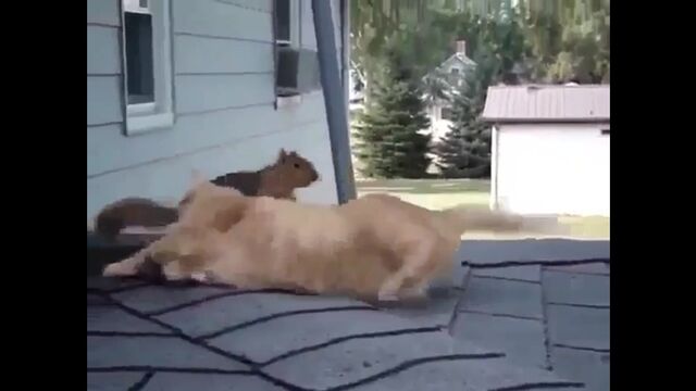 HD порно 179108