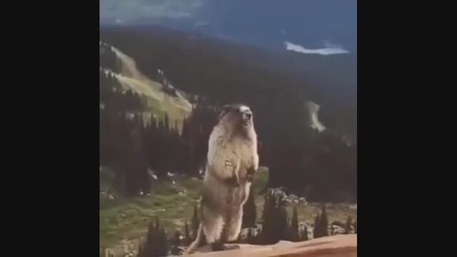 HD порно 156204