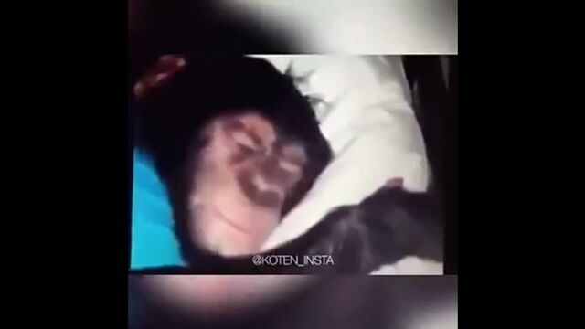 HD порно 179951