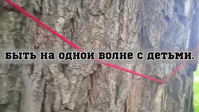 HD порно 83171