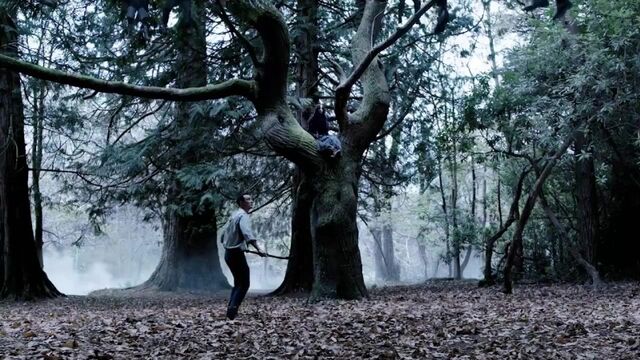 HD порно 165158