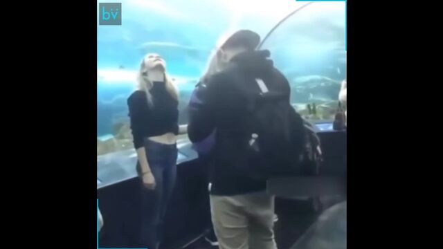 HD порно 175162