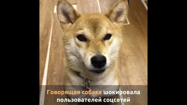 HD порно 187628