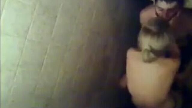 HD порно 219697