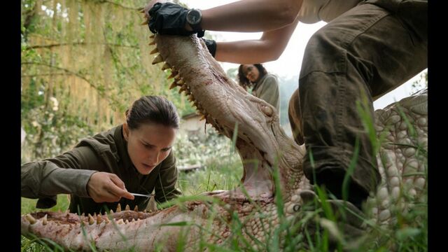 HD порно 139926