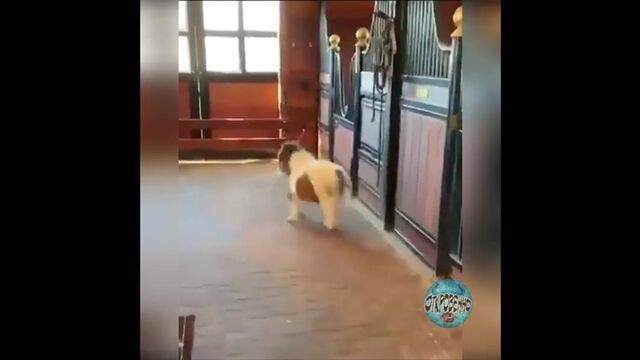 HD порно 174008