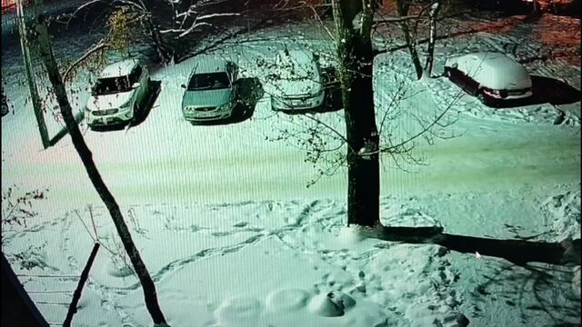 HD порно 185413