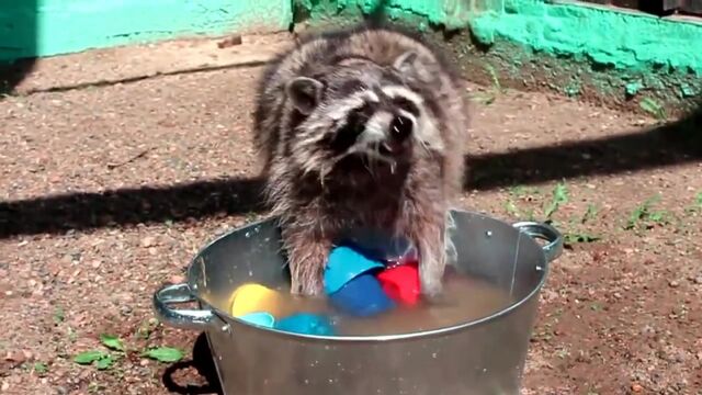 HD порно 131015