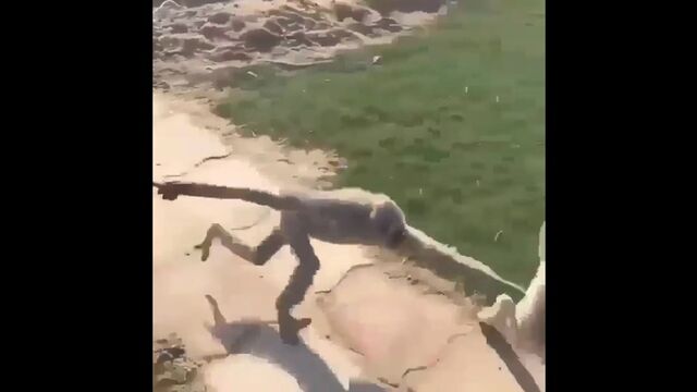 HD порно 191954