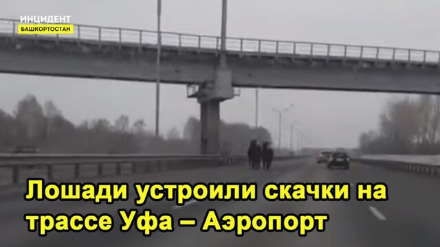 HD порно 191104