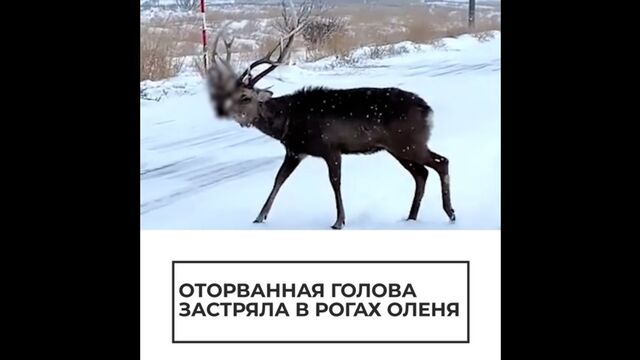 HD порно 136418